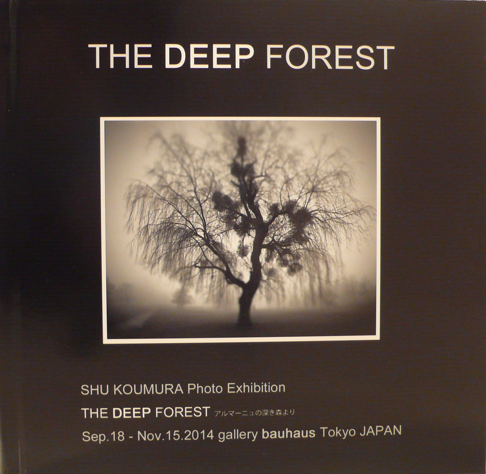 THE DEEP FOREST